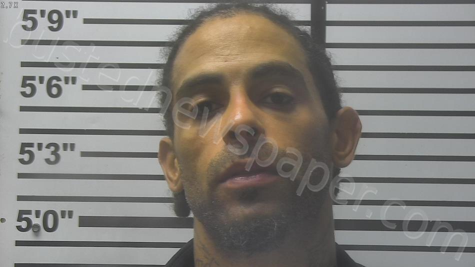 JENKINS, SHAWN JAMMAL #, Jones County, Mississippi - 2024-11-19 14:12:00