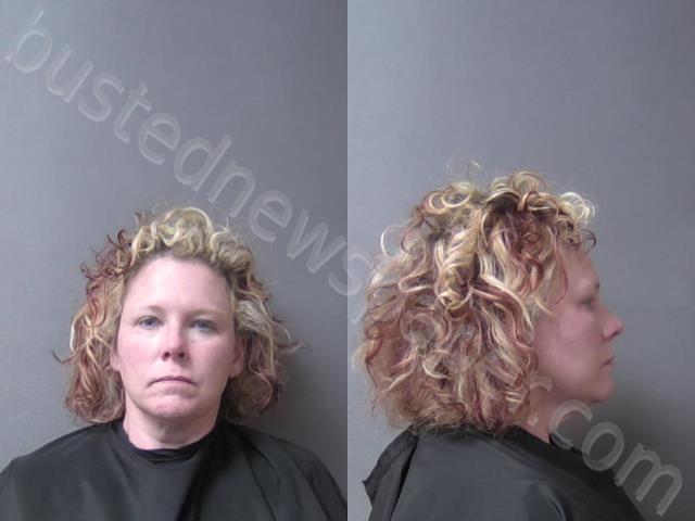 HIBNER, ANGELA MAY #, Madison County, Indiana - 2024-11-19 18:51:00