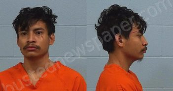 <B>VENTURA</B>, <B>JOSE</B> <B>MIGUEL</B> #, Williamson County, Texas - 2024-11-19