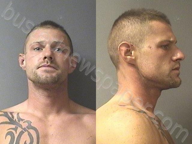 CHANEY, DYLAN TRACE #, Madison County, Indiana - 2024-11-19 15:07:00