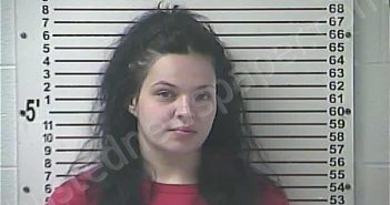 FELTHOUSEN, HAYLI ANN | 2024-11-19 09:56:00 Hardin County, Kentucky Booking