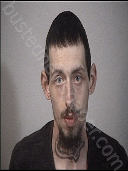 CARPENTER, MICAH ISAIAH #, Rappahannock Regional Jail, Virginia - 2024-11-19 15:59:00