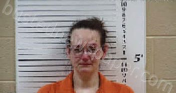 BARBER, SHERI RAE | 2024-11-19 15:09:00 Cherokee County, North Carolina Booking