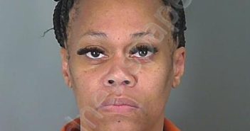 SAMANTHA FUNCHESS | 2024-11-19 16:51:53 Spartanburg County, South Carolina Booking