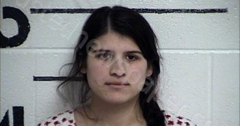 ZLATINEANU, TANIA MIOARA | 2024-11-20 Chase County, Kansas Booking