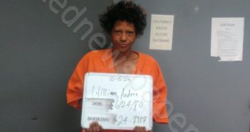 <B>WILLIAMS</B>, <B>ANDREA</B> <B>MONIQUE</B> #, Sebastian County, Arkansas - 2024-11-20 00:02:00