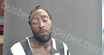 JOHNSON, DESEAN TIMOTHY | 2024-11-20 01:34:00 Cameron Parish, Louisiana Booking