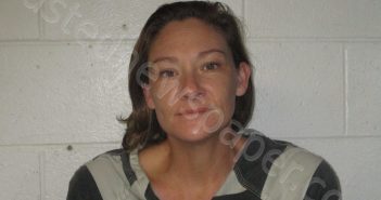 ASHLEY A SPRINGER | 2024-11-20 12:59:00 Orange County, Indiana Booking