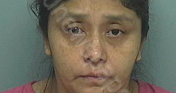 REYNOSO, ANA VELASQUEZ | 2024-11-20 20:28:27 Montgomery County, Texas Booking