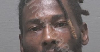 GOLSTON, MARCUS TERRELL | 2024-11-20 New Hanover County, North Carolina Booking