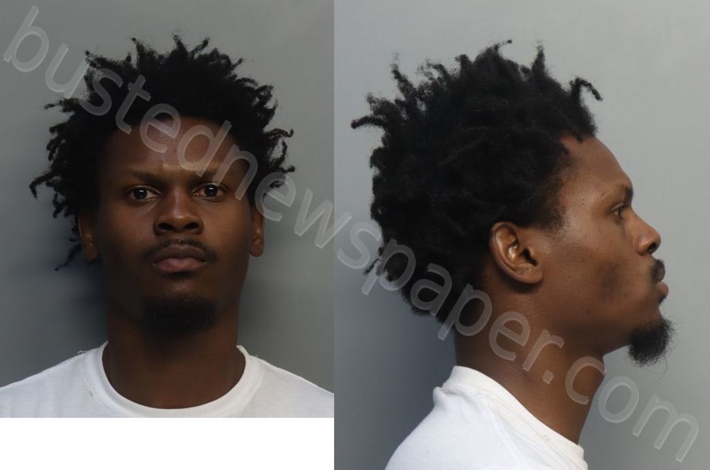 WALKER, DERRICK DEANGELO #, Miami-Dade County, Florida - 2024-11-20 15:41:00