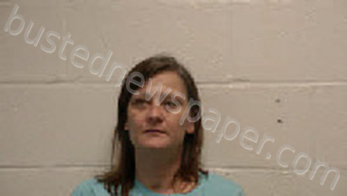 MAHAN, JENNIFER LYNN #, Robertson County, Tennessee - 2024-11-21 02:38:00