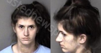 <B>WHEELER</B>, <B>REISE</B> <B>ELIZABETH</B> #, Gaston County, North Carolina - 2024-11-21 12:16:00