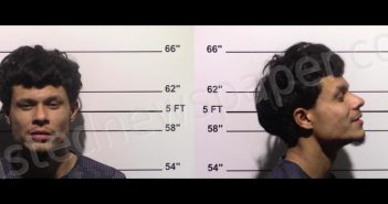 <B>ROMAN</B>, <B>JORGE</B> <B>ALEJANDRO</B> #, Gillespie County, Texas - 2024-11-21