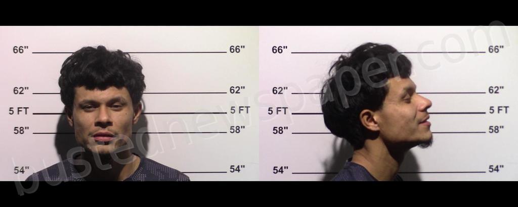 ROMAN, JORGE ALEJANDRO #, Gillespie County, Texas - 2024-11-21