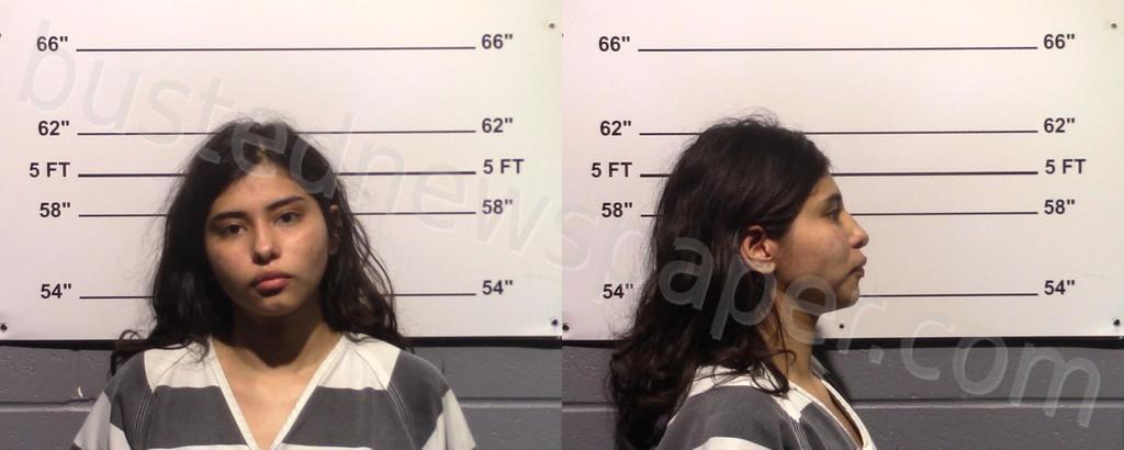 GARCIA, JESSICA ARGOTE #, Gillespie County, Texas - 2024-11-21