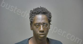 <B>NDIAYE</B>, <B>ABDOU</B> <B>RAJACK</B> #, Isabella County, Michigan - 2024-11-21 13:18:00