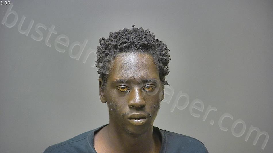 NDIAYE, ABDOU RAJACK #, Isabella County, Michigan - 2024-11-21 13:18:00