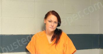 WILHOITE, MELISSA | 2024-11-21 18:34:00 Woodford County, Kentucky Booking