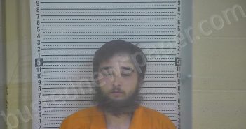 BURCHETT, SKYLER | 2024-11-22 05:08:00 Taylor County, Kentucky Booking