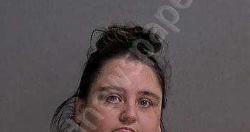 LEMAITRE, ASHLI M | 2024-11-22 Sandusky County, Ohio Booking