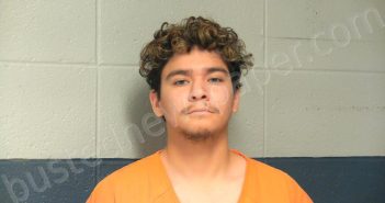 CASTRO PEREZ, ARTURO | 2024-11-22 13:03:00 Woodford County, Kentucky Booking
