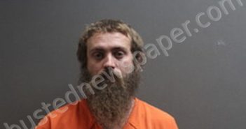 BRENDAN LLOYD ELLIS | 2024-11-22 22:18:00 Labette County, Kansas Booking