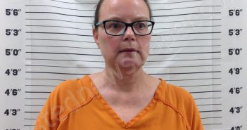 LAUER, CHRISTINA MARIE | 2024-11-22 23:43:00 Pickens County, Georgia Booking