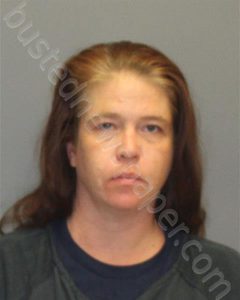 JOHNSTON, SARA ELIZABETH | 2024-11-22 Northwestern Regional Jail, Virginia Booking