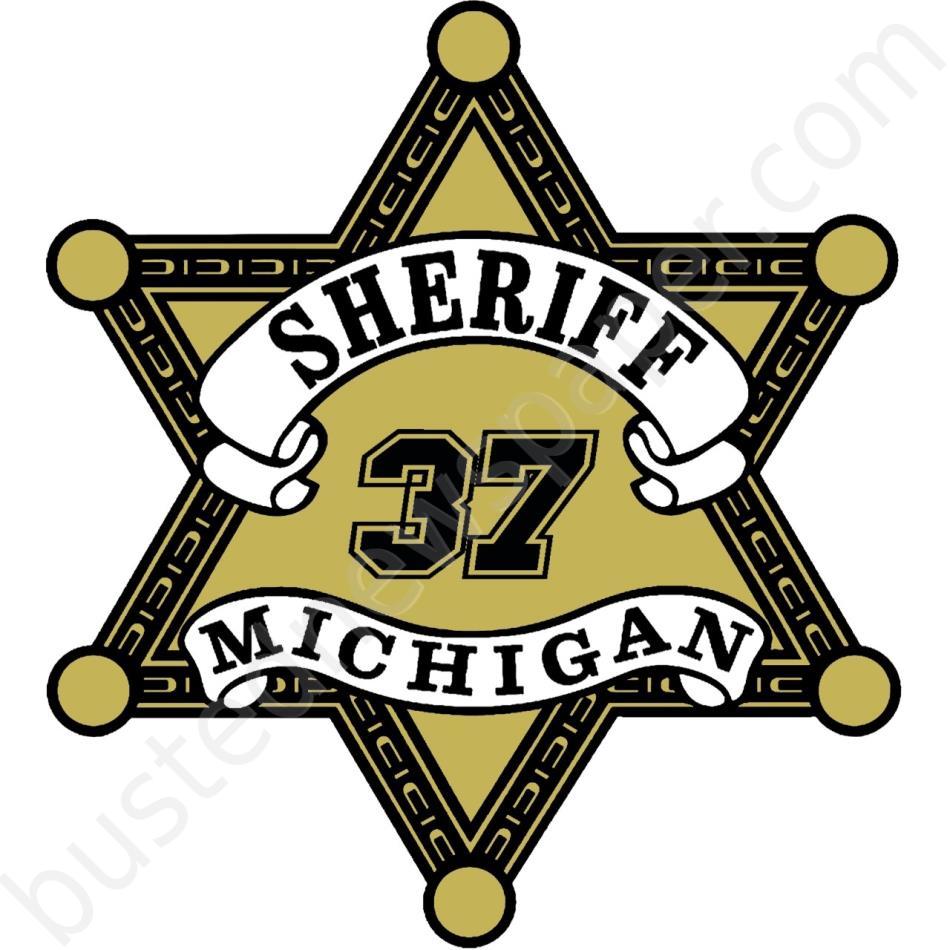 GRAHAM, TONI ELIZABETH #, Isabella County, Michigan - 2024-11-22 04:19:00