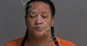 ROBINSON, CHRISTINA M | 2024-11-22 Sandusky County, Ohio Booking