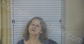 SEITZ, TELINA F. | 2024-11-22 11:18:00 Taylor County, Kentucky Booking