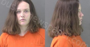<B>MIKKELSON</B>, <B>HAILEY</B> <B>MARIE</B> #, Bell County, Texas - 2024-11-22 15:48:00