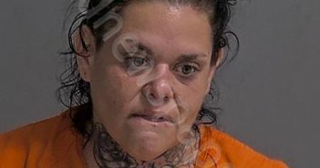 RIVERA, RACHAEL L | 2024-11-22 Sandusky County, Ohio Booking