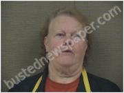 MCLAMB, LINDA | 2024-11-23 Harnett County, North Carolina Booking