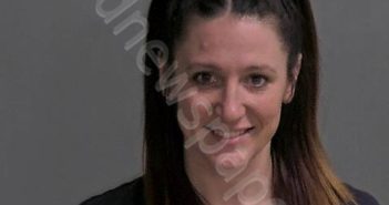 SWAIN, SHANDI L | 2024-11-23 Sandusky County, Ohio Booking