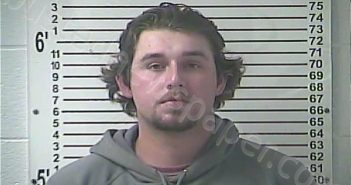 HARVEY, TREVOR COLE | 2024-11-23 01:58:00 Hardin County, Kentucky Booking