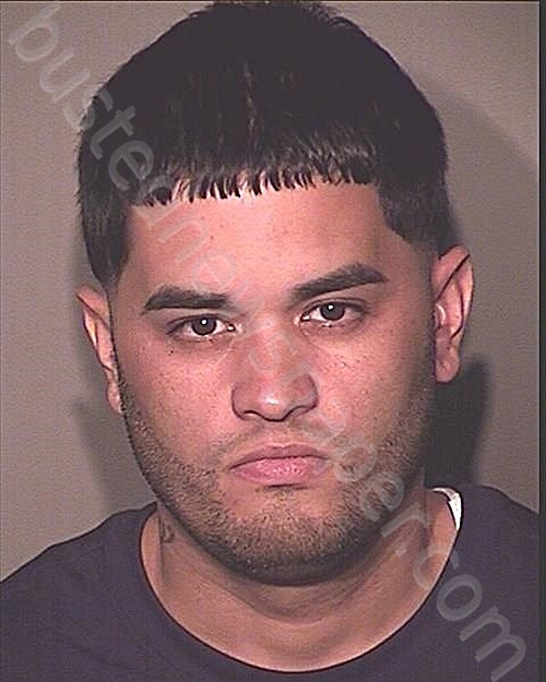 DANIEL JOSE PONCE #, Osceola County, Florida - 2024-11-23