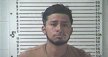 HERNANDEZ, SERAFIN PAVON | 2024-11-23 23:44:00 Hardin County, Kentucky Booking