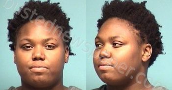 ADAMS, KIRANISHA L | 2024-11-23 19:07:00 Lorain County, Ohio Booking