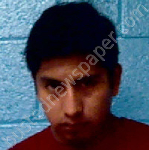 VELIZ, CLAUDIO ESQUIVEL #, Halifax County, North Carolina - 2024-11-24 18:51:00