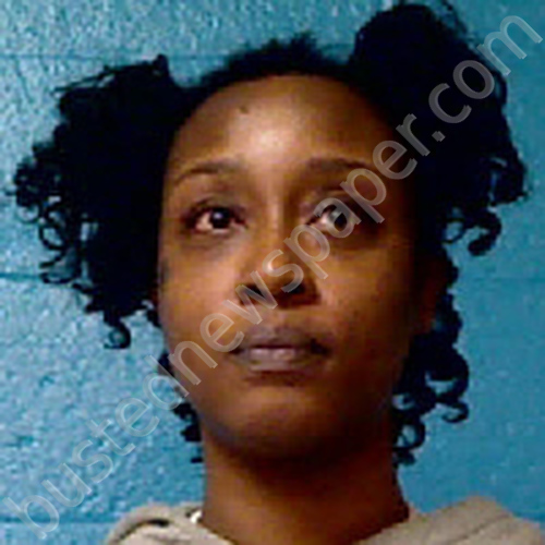 WHEELER, BRITTANY ALEXANDER #, Halifax County, North Carolina - 2024-11-24 23:52:00
