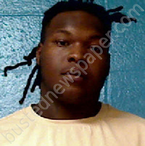 THORNE, RASHAUN A’TREZ OTTO #, Halifax County, North Carolina - 2024-11-24 14:17:00
