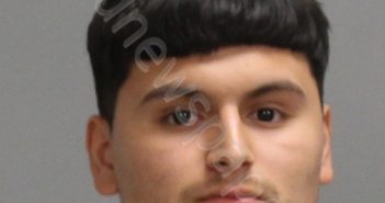 VELA, JEREMIAH | 2024-11-24 Brazos County, Texas Booking