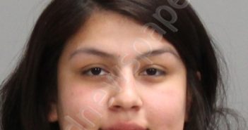 CHAVEZ, SARAH ANN | 2024-11-24 Brazos County, Texas Booking