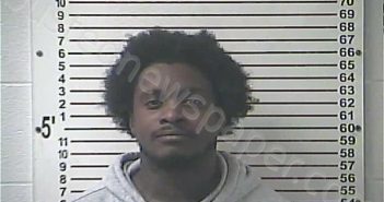 TROWEL, JAVONTAE CORTEZ | 2024-11-24 00:20:00 Hardin County, Kentucky Booking