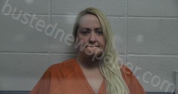 PENNINGTON, ALI JEANETTE | 2024-11-24 01:20:00 Jessamine County, Kentucky Booking