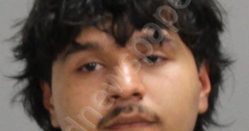 GORDILLO CORTES, JORGE ALEJANDRO | 2024-11-24 Brazos County, Texas Booking