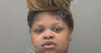 SURLES, <B>DOMINIQUE</B> <B>MORGAN</B> #, Montgomery County, Ohio - 2024-11-24 12:30:00