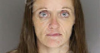 CAVINESS, STEPHANIE RENEE | 2024-11-24 03:37:00 Moore County, North Carolina Booking